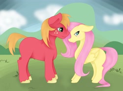 Size: 4096x3010 | Tagged: safe, artist:rosario-red, artist:rosario_red_art, big macintosh, fluttershy, earth pony, pegasus, pony, absurd resolution, blushing, cloud, day, duo, duo male and female, female, finished, floppy ears, folded wings, grass, height difference, hill, long mane, long tail, looking away, male, mare, missing accessory, missing cutie mark, mountain, outdoors, shading, ship:fluttermac, shipping, shy, signature, sky background, smiling, stallion, straight, tail, unshorn fetlocks, wings, wip