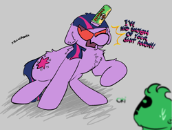 Size: 2160x1620 | Tagged: safe, artist:felixmcfurry, twilight sparkle, oc, oc:anon, pony, unicorn, angry, chips, colored, duo, ears back, flat colors, food, potato chips, pringles, raised hoof, red eyes take warning, text, twilight sparkle is not amused, unamused, unicorn twilight, word 'background'for background