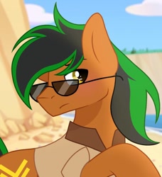 Size: 1220x1338 | Tagged: safe, artist:cstrawberrymilk, oc, oc only, oc:patutu, earth pony, pony, male, solo, stallion, sunglasses