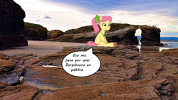 Size: 1706x960 | Tagged: safe, posey bloom, earth pony, g5, meme, pink hair, scenery, spanish