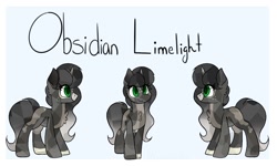 Size: 1500x900 | Tagged: safe, oc, oc only, oc:obsidian limelight, crystal pony, crystal unicorn, pony, unicorn, reference sheet, solo