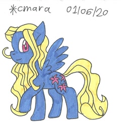 Size: 838x877 | Tagged: safe, artist:cmara, lily blossom, pegasus, pony, g4, female, mare, signature, simple background, solo, traditional art, white background