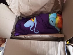 Size: 1280x960 | Tagged: safe, artist:trueheartcraft, rainbow dash, pegasus, pony, fanfic:my little dashie, g4, blanket, box, cardboard box, commission, cute, irl, photo, plushie, sleeping, solo