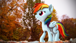 Size: 3840x2160 | Tagged: safe, artist:psfmer, rainbow dash, pegasus, pony, g4, 3d, autumn, female, folded wings, high res, mare, smiling, solo, source filmmaker, tree, wings
