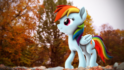 Size: 3840x2160 | Tagged: safe, artist:psfmer, rainbow dash, pegasus, pony, g4, 3d, autumn, female, folded wings, high res, mare, ponytober 2023, smiling, solo, source filmmaker, tree, wings