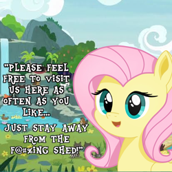 Size: 1986x1986 | Tagged: safe, edit, edited screencap, screencap, fluttershy, beaver, pegasus, pony, raccoon, .mov, shed.mov, fluttershy leans in, g4, censored, censored vulgarity, cloud, cute, digital art, female, flower, grass, happy, highlights, looking at you, meme, morning, open mouth, shading, shyabetes, sky, solo, subversive kawaii, sweet feather sanctuary, talking, talking to viewer, text, water, waterfall