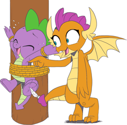 Size: 1344x1320 | Tagged: safe, artist:nauyaco, color edit, edit, smolder, spike, dragon, colored, simple background, tickling, white background