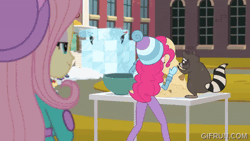 Size: 520x293 | Tagged: safe, screencap, fluttershy, pinkie pie, rarity, sunset shimmer, human, raccoon, blizzard or bust, equestria girls, equestria girls specials, g4, my little pony equestria girls: holidays unwrapped, animated, clothes, female, gif, gifrun.com, winter outfit