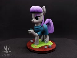 Size: 2560x1920 | Tagged: safe, alternate angle, alternate version, artist:lakterra, boulder (g4), maud pie, earth pony, pony, g4, clothes, craft, duo, female, figurine, frock coat, grass, hoof hold, irl, lidded eyes, mare, photo, polymer clay, raised hoof, rock, signature, stand, tail, three quarter view, unshorn fetlocks