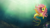 Size: 1920x1080 | Tagged: safe, artist:br0ny, fluttershy, hippocampus, merpony, seapony (g4), g4, clownfish, female, mare, seaponified, seapony fluttershy, solo, species swap, underwater, wallpaper, water, watershy