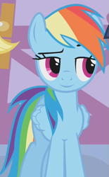 Size: 365x590 | Tagged: safe, edit, edited screencap, editor:twilyisbestpone, screencap, applejack, rainbow dash, twilight sparkle, earth pony, pegasus, pony, unicorn, g4, season 1, suited for success, cropped, eyebrows, female, horn, inverted mouth, lidded eyes, mare, offscreen character, raised eyebrow, smiling, solo focus