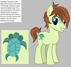 Size: 640x600 | Tagged: safe, artist:fizzled_kitty, edit, sandbar, earth pony, pony, turtle, g4, alternate cutie mark, alternate hair color, brown hair, cutie mark, google translate, gray background, implied school of friendship, male, multiple heads, recolor, simple background, solo, three heads