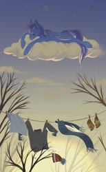 Size: 1263x2048 | Tagged: safe, artist:hichieca, oc, oc only, pegasus, pony, clothes line, cloud, on a cloud, pegasus oc, sleeping, sleeping on a cloud, solo