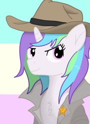 Size: 819x1120 | Tagged: safe, artist:minecake, oc, oc only, oc:cake sparkle, bust, duster, flag background, flag of three tribes, hat, portrait, sheriff's badge, solo