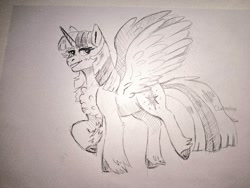 Size: 1500x1125 | Tagged: safe, artist:cluterdrop, twilight sparkle, alicorn, pony, g4, chest fluff, cloven hooves, eyebrows, eyebrows visible through hair, female, grayscale, lidded eyes, mare, monochrome, pencil drawing, signature, solo, spread wings, standing on two hooves, traditional art, twilight sparkle (alicorn), unshorn fetlocks, wings