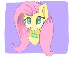 Size: 2500x2000 | Tagged: safe, artist:psychotix, derpibooru exclusive, fluttershy, pegasus, pony, g4, :3, bronybait, bust, cute, disembodied head, looking at you, looking up, looking up at you, paint tool sai, shyabetes, signature, simple, simple background, simple shading, solo, speech, talking, text