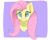 Size: 2500x2000 | Tagged: safe, artist:bazza, derpibooru exclusive, fluttershy, pegasus, pony, g4, :3, bronybait, bust, cute, disembodied head, looking at you, looking up, looking up at you, paint tool sai, shyabetes, signature, simple, simple background, simple shading, solo, speech, talking, text