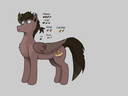 Size: 4000x3000 | Tagged: safe, oc, oc only, oc:dustwing, pegasus, brown fur, brown mane, gray background, pegasus oc, reference sheet, simple background, solo, wings