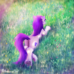 Size: 2792x2792 | Tagged: safe, artist:autumnsfur, oc, oc only, oc:glitter stone, earth pony, pony, album cover, chest fluff, coat markings, coordinates, cover art, credits, dawn, diamond, diamond cutie mark, ear fluff, earth pony oc, facing away, female, full body, grass, gray coat, gray fur, hooves, inspired by a song, latitude and longitude, lineless, location, long mane, long tail, looking at something, lying down, mare, musician, outdoors, parody, ponified, pony oc, porter robinson, prone, purple hair, purple mane, rear, socks (coat markings), solo, tail
