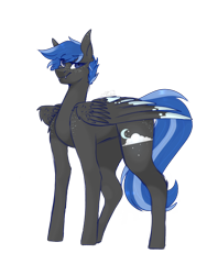 Size: 1536x2048 | Tagged: safe, artist:pixelberrry, oc, pegasus, pony, male, simple background, solo, stallion, transparent background