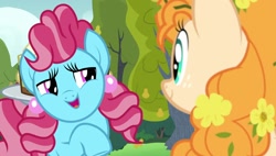 Size: 1920x1088 | Tagged: safe, screencap, cup cake, pear butter, earth pony, g4, the perfect pear, duo, duo female, female, lidded eyes, looking at each other, looking at someone, smiling, teasing