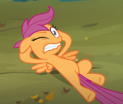 Size: 688x580 | Tagged: safe, screencap, scootaloo, pegasus, pony, g4, sleepless in ponyville, cropped, gritted teeth, lying down, one eye open, solo, teeth