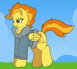 Size: 2075x1860 | Tagged: safe, artist:spookyfoxinc, spitfire, pegasus, pony, g4, bomber jacket, clothes, folded wings, jacket, outdoors, solo, wings, wonderbolts