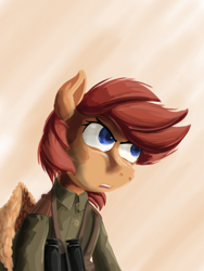 Size: 1536x2048 | Tagged: safe, artist:soursweet cheese, pegasus, pony, binoculars, clothes, commander, friendship is a lie, military pony, military uniform, solo, uniform