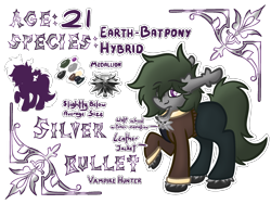 Size: 2160x1620 | Tagged: safe, artist:linkle, oc, oc:silver bullet, reference sheet, the witcher