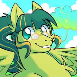 Size: 2000x2000 | Tagged: safe, artist:hydroflorix, oc, oc only, pegasus, pony, bust, cloud, glasses, grin, male, outdoors, pegasus oc, smiling, solo, stallion, wings