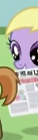 Size: 38x140 | Tagged: safe, screencap, button mash, grape pop, g4, ponyville confidential, cropped, cute, female, filly, foal, mouth hold, newspaper, not dinky hooves, picture for breezies, tail