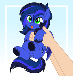 Size: 4822x5000 | Tagged: safe, artist:jhayarr23, oc, oc only, oc:guard cobalt flash, bat pony, pony, :p, bat pony oc, cute, gradient background, hand, holding a pony, smol, tongue out