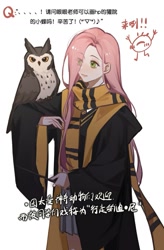 Size: 883x1343 | Tagged: safe, artist:xieyanbbb, fluttershy, bird, human, owl, g4, chinese, clothes, female, hair over one eye, harry potter (series), hufflepuff, humanized, scarf, simple background, skirt, solo, text, translated in the comments, wand, white background