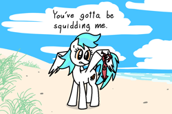 Size: 1500x1002 | Tagged: safe, artist:purblehoers, oc, oc only, oc:crabcakes, pegasus, squid, beach, cloud, female, grass, mare, ocean, sand, solo, spread wings, text, water, wings