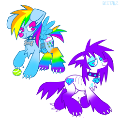 Size: 1089x1090 | Tagged: safe, artist:beetalz, rainbow dash, rarity, dog, dogified, duo, simple background, smiling, sparkledog, species swap, white background