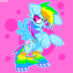 Size: 827x831 | Tagged: safe, artist:beetalz, rainbow dash, dog, pony, dogified, fake wings, frown, smiling, solo, species swap