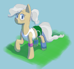 Size: 1100x1026 | Tagged: safe, artist:hitsuji, mayor mare, pony, booty shorts, clothes, leg warmers, looking at you, ponytail, shirt, simple background, solo