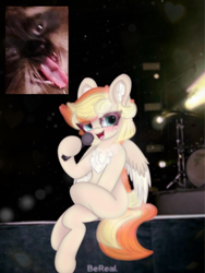 Size: 4096x5461 | Tagged: safe, artist:sodapop sprays, oc, oc:sodapop sprays, cat, pegasus, pony, bereal., blushing, chest freckles, concert, ear fluff, eye clipping through hair, freckles, happy, looking at you, meme, screaming fan meme, wip