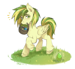 Size: 2415x2219 | Tagged: safe, artist:gold8811, oc, oc only, oc:wooden toaster, pegasus, pony, basket, easter, easter egg, holiday, male, simple background, solo, white background