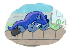 Size: 1224x853 | Tagged: safe, artist:zutcha, princess luna, alicorn, pony, g4, :t, female, fence, looking at you, mare, simple background, solo, white background