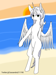 Size: 1500x2000 | Tagged: safe, artist:cassandra211190, oc, oc:κασσάνδρα, alicorn, pony, alicorn oc, horn, wings