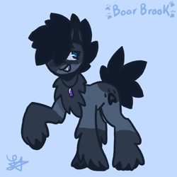 Size: 1400x1400 | Tagged: safe, artist:comicmaker, oc, oc only, oc:boar brook, earth pony, pony, blue background, earth pony oc, fluffy, grin, hair over one eye, raised hoof, short tail, simple background, smiling, solo, tail, unshorn fetlocks