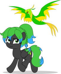 Size: 4111x5000 | Tagged: safe, artist:jhayarr23, oc, oc:solar aura, balefire phoenix, pegasus, phoenix, fallout equestria, bangs, braid, commission, commissioner:solar aura, female, male, male balefire phoenix, male phoenix, mare, pegasus oc, ponytail, simple background, transparent background, wings