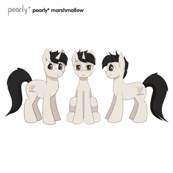 Size: 1200x1200 | Tagged: safe, artist:pearly* marshmallow, oc, oc only, oc:pearly* marshmallow, pony, unicorn, brown eyes, horn, looking at you, male, reference sheet, sideview, simple background, sitting, solo, stallion, standing, unicorn oc, white background