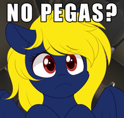 Size: 2027x1936 | Tagged: safe, artist:higglytownhero, oc, oc only, oc:naveen numbers, pegasus, pony, eye clipping through hair, meme, no bitches?, solo