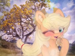 Size: 4096x3072 | Tagged: safe, artist:sodapop sprays, applejack, earth pony, pony, blushing, chest fluff, cloud, cowboy hat, cowgirl, ear fluff, freckles, hat, headband, irl, irl background, looking at you, one eye closed, open mouth, photo, shoulder fluff, smiling, solo, unshorn fetlocks, wink
