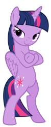 Size: 1621x4047 | Tagged: safe, artist:terrebonnerobbi, twilight sparkle, alicorn, g4, bipedal, female, fresh princess and friends' poses, fresh princess of friendship, simple background, solo, transparent background, twilight sparkle (alicorn)