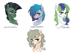 Size: 3508x2480 | Tagged: safe, artist:delicious, oc, oc only, oc:grape raindrop, oc:silver facade, oc:tamiro, oc:wolfclaimer, earth pony, pony, unicorn, fallout equestria, bust, horn, portrait, simple background, white background