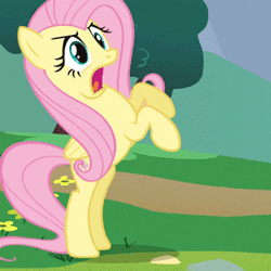 Size: 320x320 | Tagged: safe, screencap, fluttershy, pegasus, pony, g4, season 1, sonic rainboom (episode), animated, cropped, female, flutteryay, gif, mare, solo, text, yay