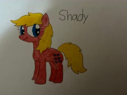 Size: 4032x3024 | Tagged: safe, artist:melissahutchinson23, shady, earth pony, pony, g1, g4, closed mouth, colored pencil drawing, cute, female, g1 shadybetes, g1 to g4, g1betes, generation leap, mare, simple background, smiling, solo, traditional art, white background